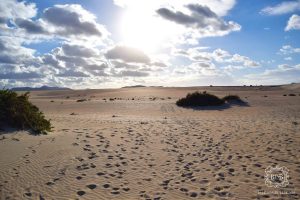 canarie spagna