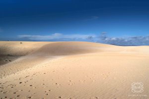 Fuerteventura isole canarie