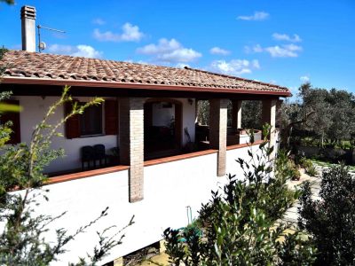 Mi casa es tu casa