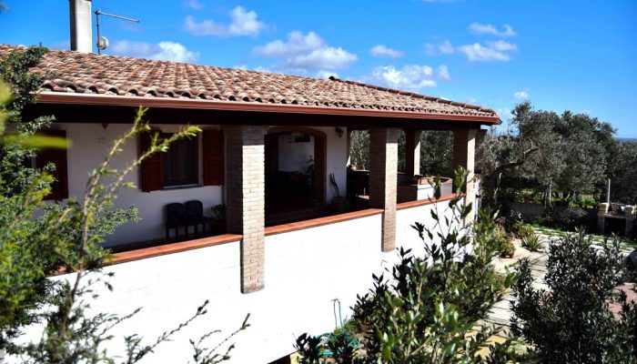 Mi casa es tu casa