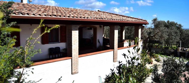 Mi casa es tu casa